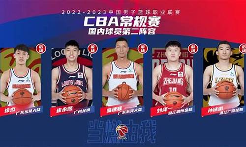 2014cba篮球赛事_2014cba冠军